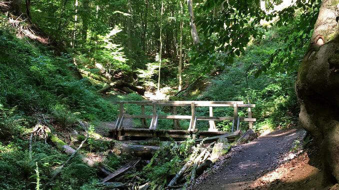 Holzbrücke im Tretschbachtal