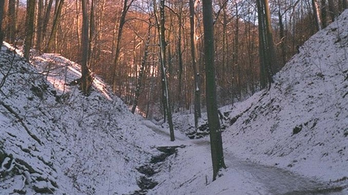 Nachtigallental im Winter