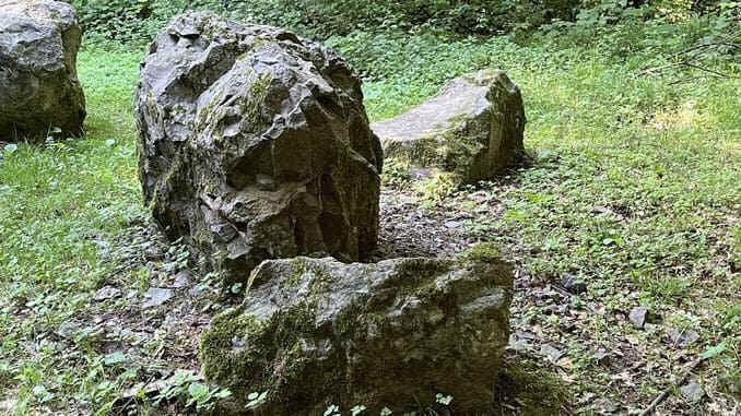 Latit vom Stenzelberg, Buchenplatz, Siebengebirge