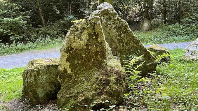 Trachyt vom Drachenfels, Buchenplatz, Siebengebirge