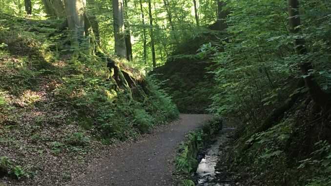 Pfad durch das Annatal, Siebengebirge