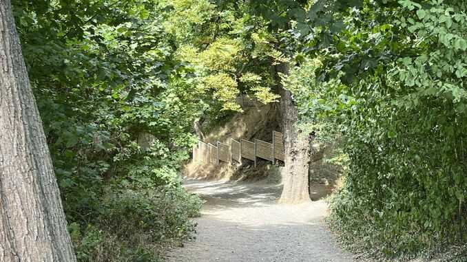 Eselsweg, Abstieg vom Drachenfels