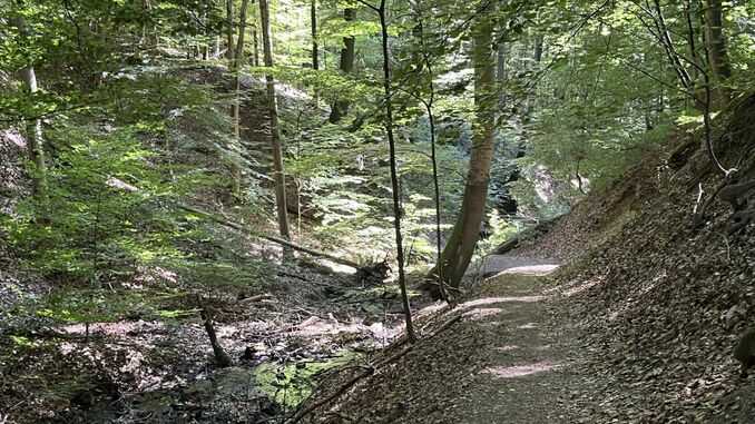 Pfad durch das Tretschbachtal, Siebengebirge