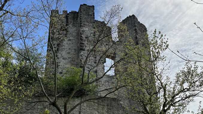 Burg Drachenfels, „Kölner Fenster“, Siebengebirge