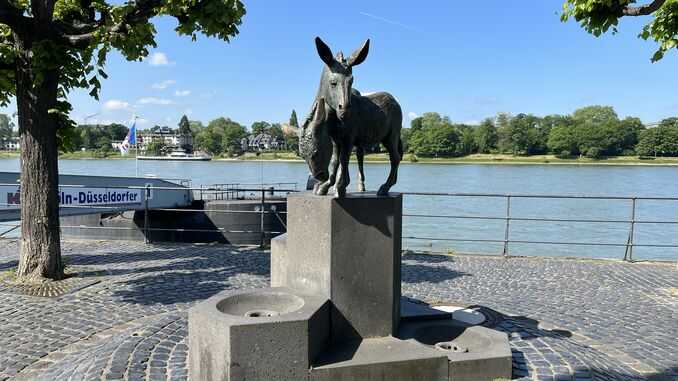 Eselskulptur von Ernemann Sander am Rhein, Königswinter