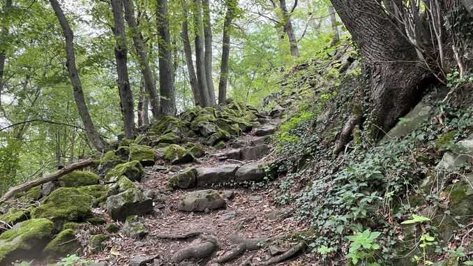 Aufstieg zum Leyberg, Bad Honnef