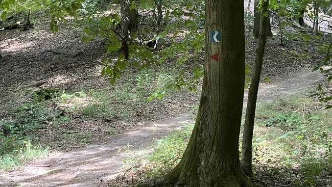 Rheinsteig, Weg zum Geisberg, Siebengebirge